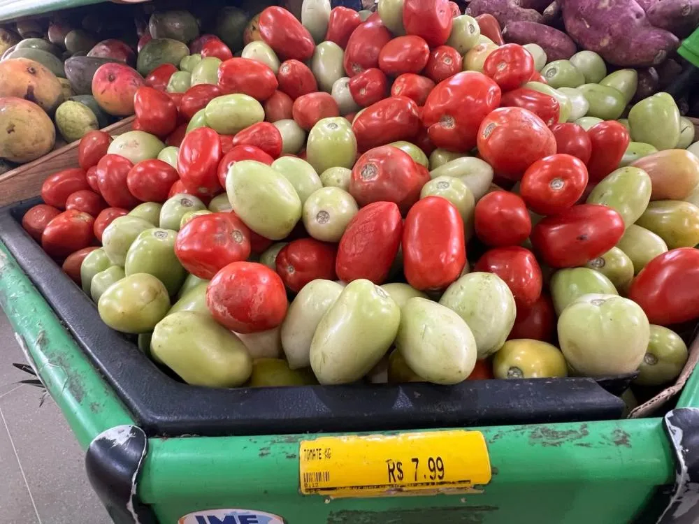 Safra da Bahia faz preço do tomate baixar em Cajazeiras-PB|Foto: Divulgação