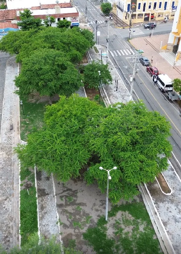 Prefeitura anuncia reforma da Praça Cardeal Arcoverde, no Centro de Cajazeiras
