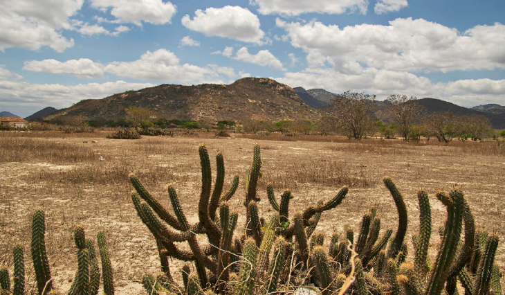 Inmet renova alerta de clima seco para o Sertão paraibano e 16 cidades devem registrar umidade do ar abaixo de 30%|Foto: Reprodução