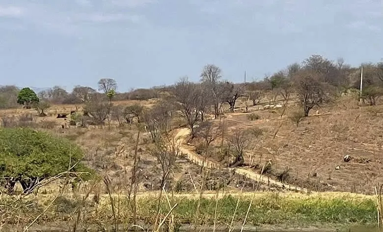 Estiagem e chuvas intensas deixam 146 municípios da Paraíba em situação de emergência|Foto: Radar Sertanejo