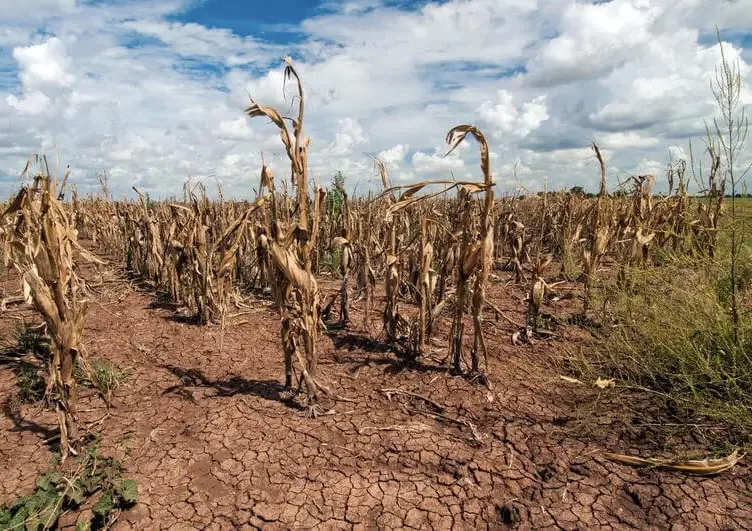 Duas cidades paraibanas entram em situação de emergência por causa da estiagem|Foto: Reprodução