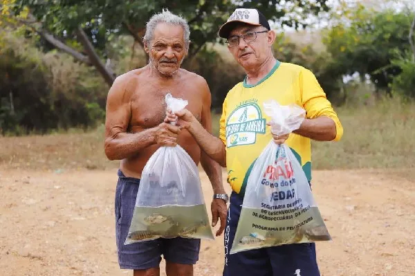 Parceria entre Prefeitura e Sedap-PB realiza distribuição de alevinos e fomenta a piscicultura em Bom Jesus-PB|Foto: Emanuel Dias
