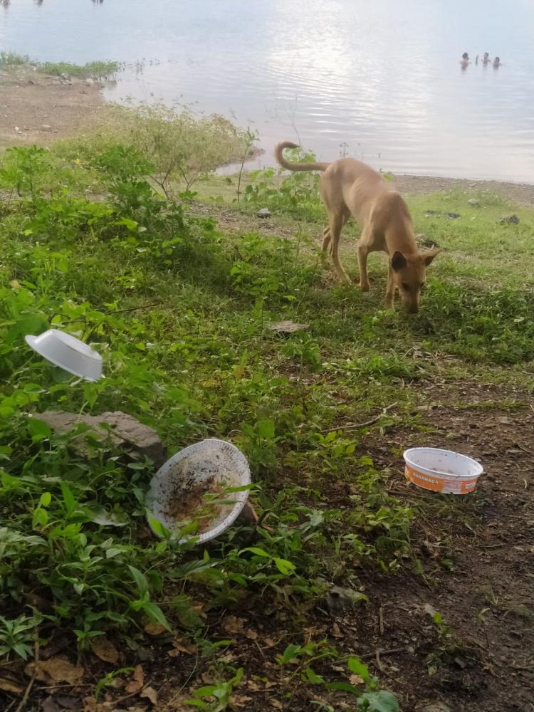Lixo jogado na represa da barragem de Boa Vista, em São José de Piranhas-PB (Foto Tribuna10) 