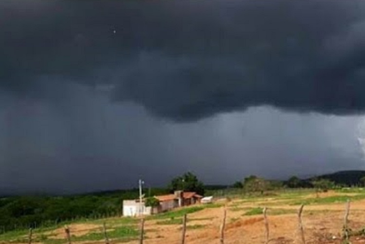 Chuva fina no sertão 