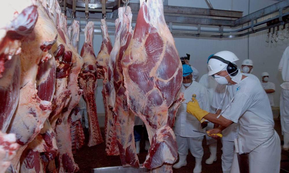 Na comparação com 2º trimestre de 2022, o abate de bovinos teve aumento de 6,3%