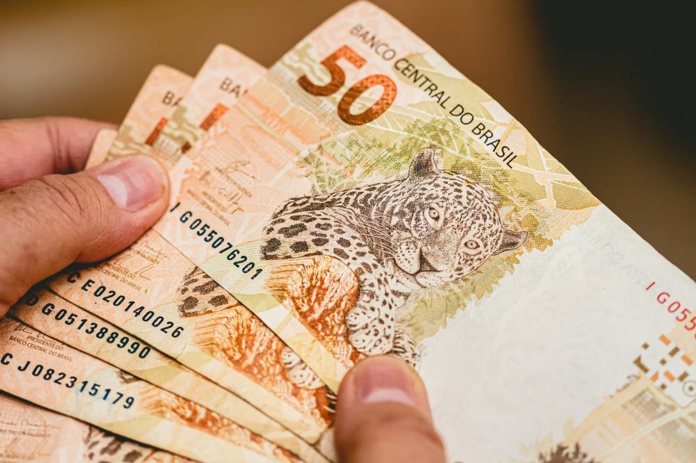 O Banco Central começa a liberar na segunda-feira (7) a consulta ao valor e aos pedidos de resgate de dinheiro esquecido nos bancos.