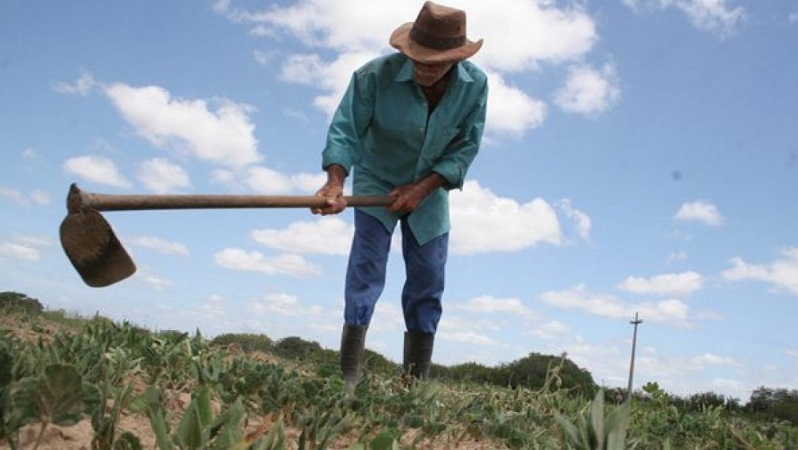  A passo de tartaruga, prefeitura de Santa Helena atrasa corte de terras e agricultores lamentam 