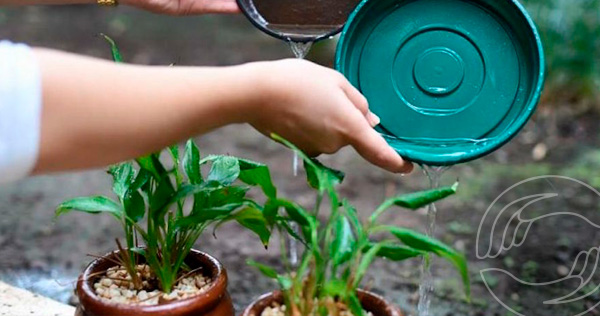 Secretarias de Saúde e de Infraestrutura desenvolvem ações de combate ao Aedes Aegypti em Bom Jesus 