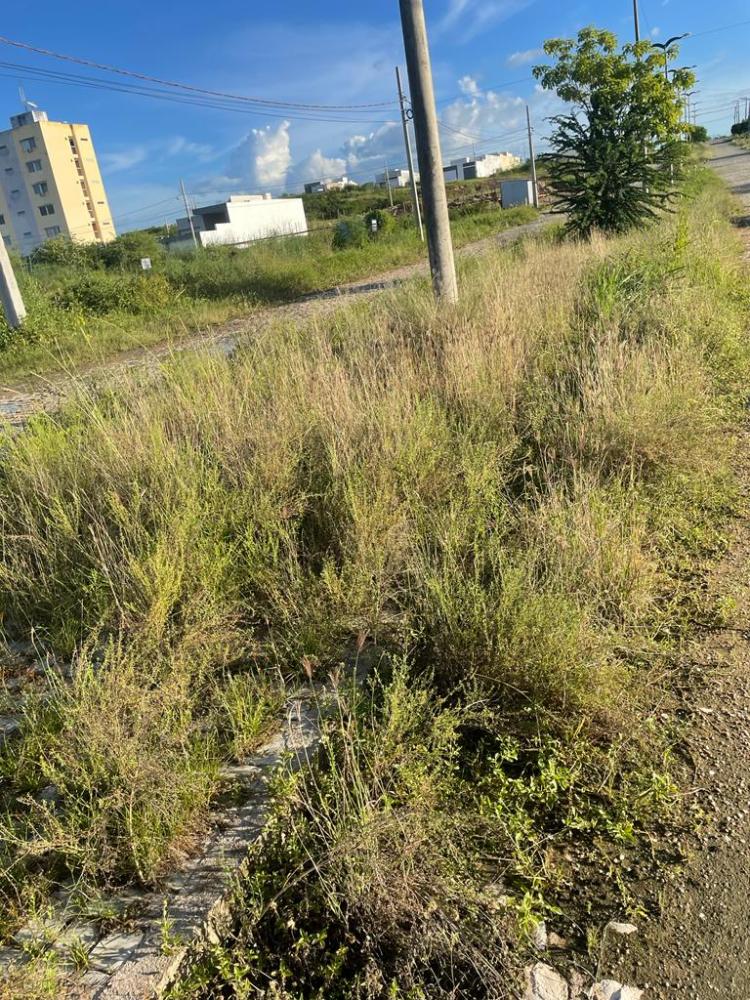 Avenida Ulisses da Mota bairro Epitácio Leite Rolim está completamente abandonada (Foto: tribuna10) 