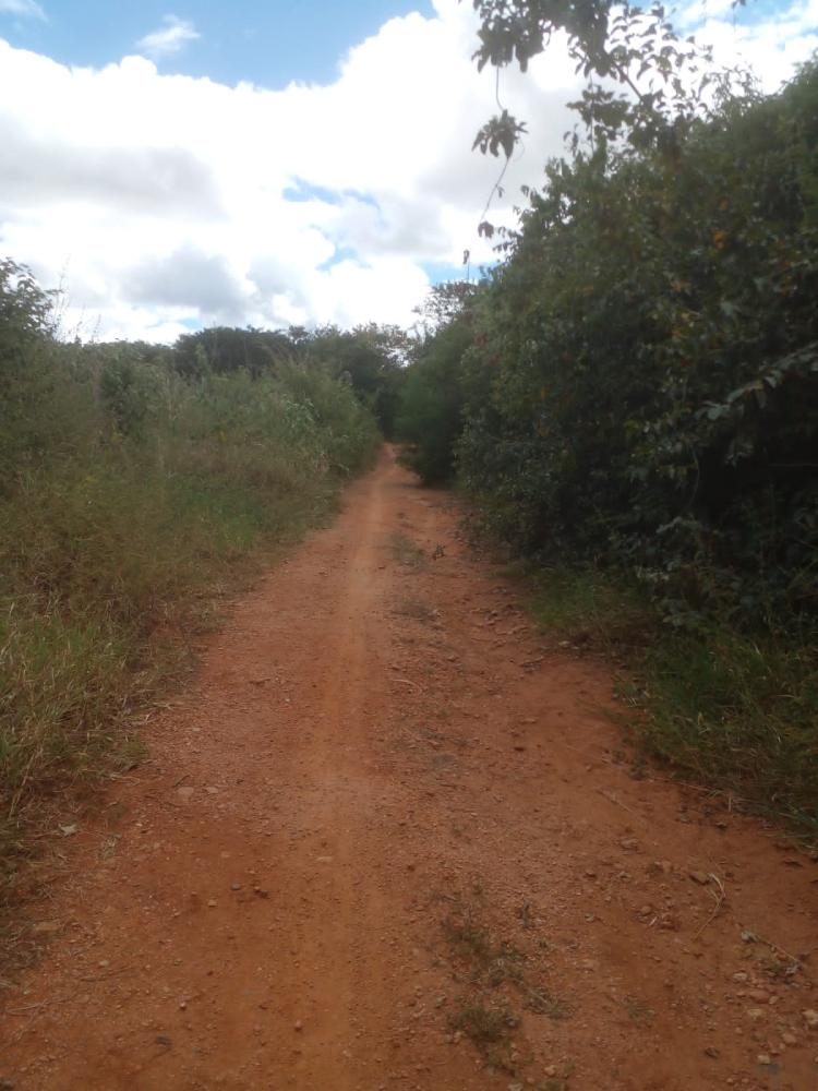  Estrada em Santa Helena está há três anos abandonada e moradores lamentam 