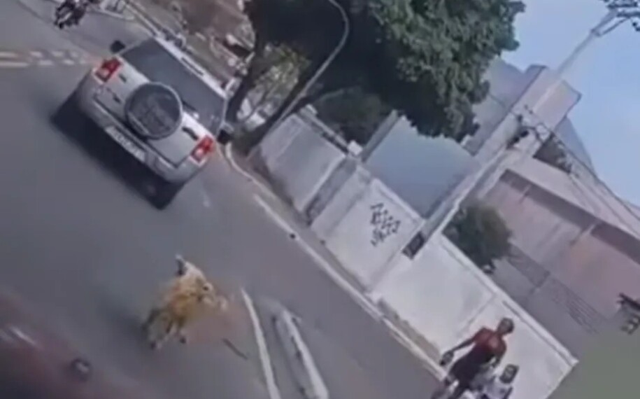 Caozinho tenta aalcançar o carro, mas não consegue 