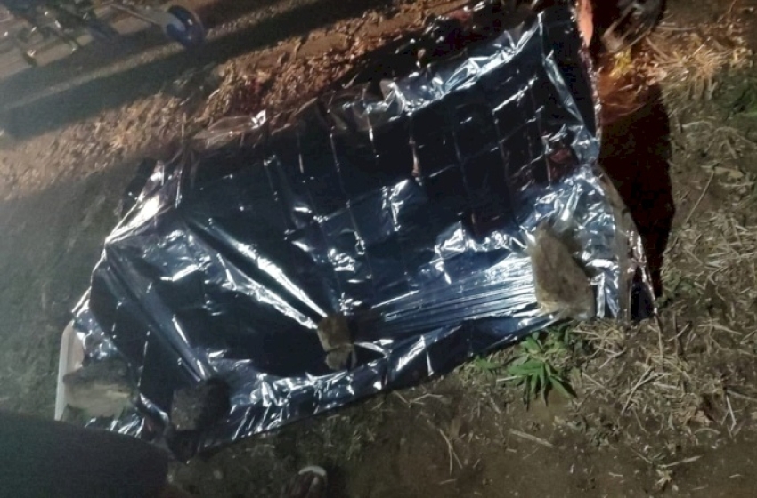 O animal também morreu no local. A área foi isolada e o corpo será removido ao IML.
