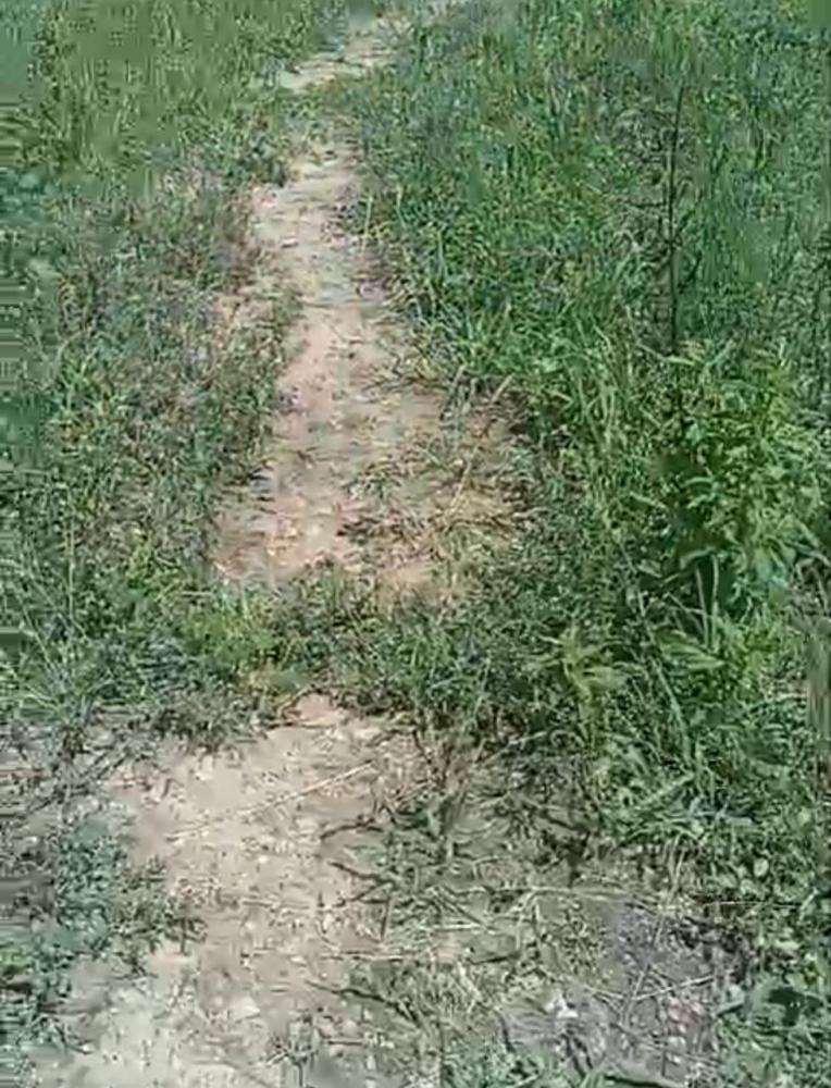 Pequena área de terra do agricultor que alega não ter sido corrada pela prefeitura 