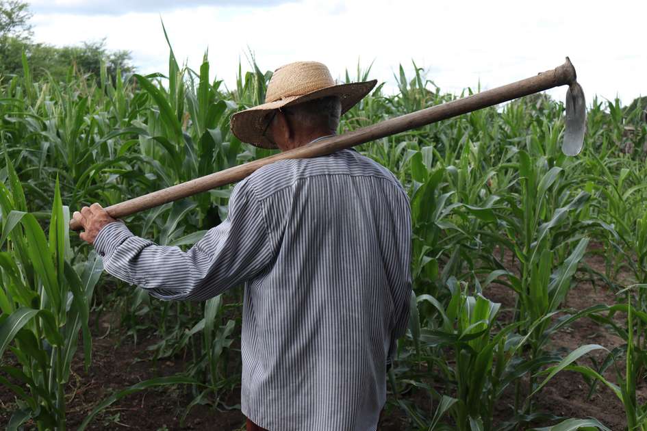 Agricultores prejudicados 