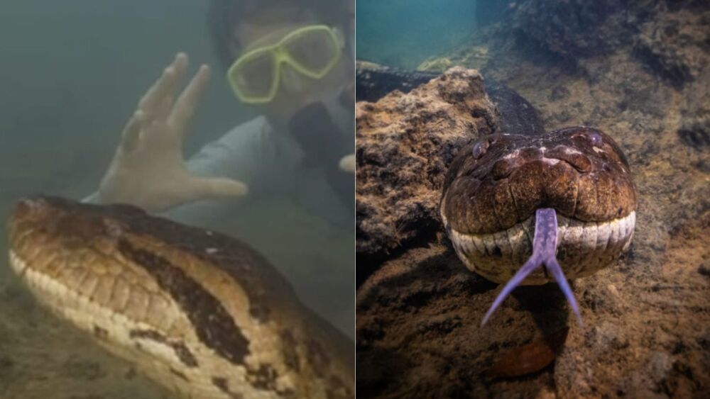 Os policiais coletaram materiais no local para análise aprofundada