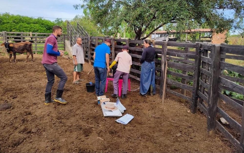 Primeiro dia de ação em Bonito de Santa Fé (Foto: assessoria)