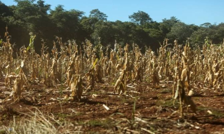 Governo Federal reconhece a situação de emergência em 29 cidades