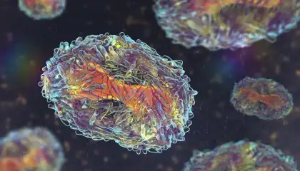 Mpox: conheça os sintomas da doença e saiba o que fazer em caso de suspeita