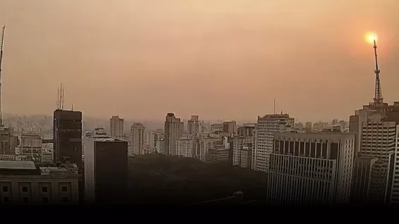 Fumaça invade a capital paulista (Foto: Divulgação)