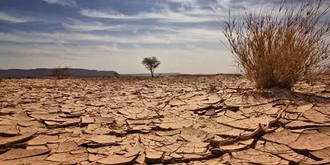 Mercado vê risco de inflação com energia e alimentos por seca histórica