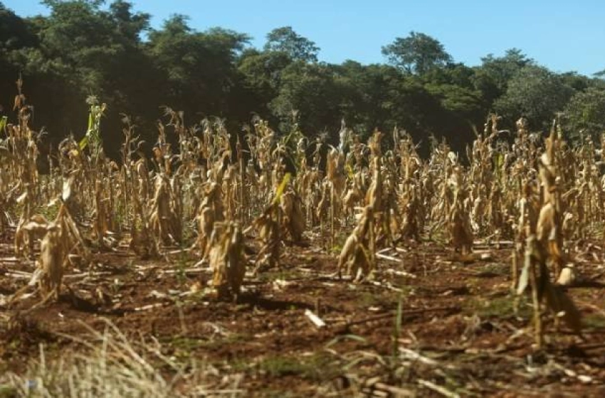 Cinco cidades paraibanas entram na lista de situação de emergência do Governo Federal