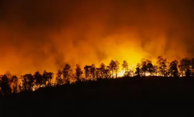 Queimadas no território brasileiro (Foto: Reprodução)