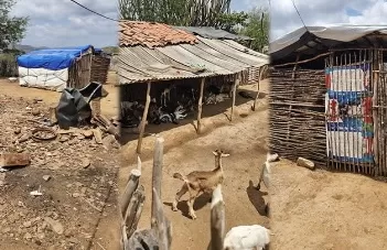 Defensoria impede despejo de famílias do MST na Paraíba (Foto: Reprodução)