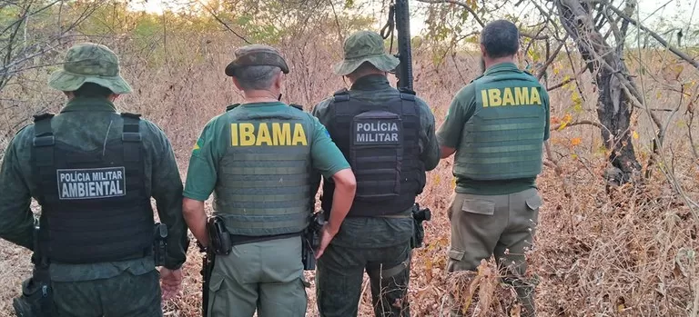 Ibama combate a caça e o tráfico de animais silvestres (Foto: Reprodução)