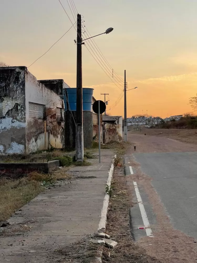 O descaso com o matadouro público de Santa Helena é fato conhecido por todos do município (Foto: Divulgação)