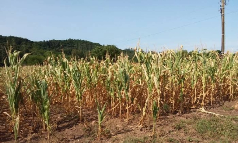 Governo Federal reconhece situação de emergência em município paraibano e mais quatro no Brasil