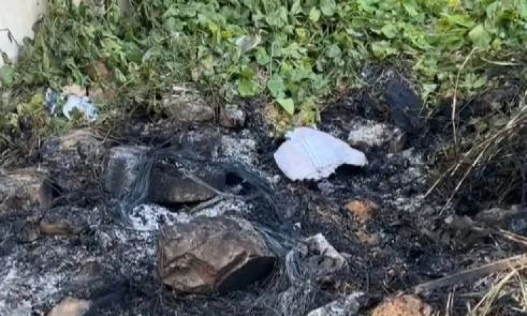 Local aonde foi encontrado o corpo carbonizado (Foto: Divulgação)