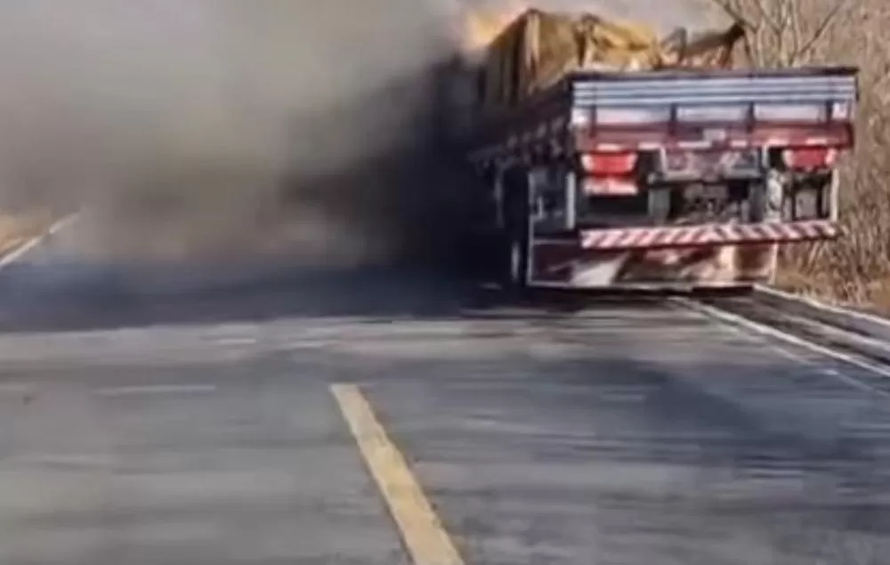 Veículo pega fogo na BR-405 (Foto: Redes sociais)