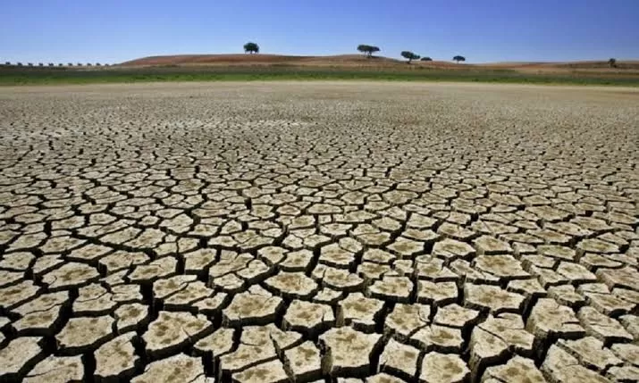 Seca no Nordeste (Foto: Reprodução)