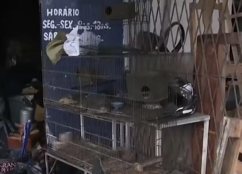 Pet shop no bairro de Oitizeiro ficou destruído (Foto: TV Cabo Branco/Reprodução)