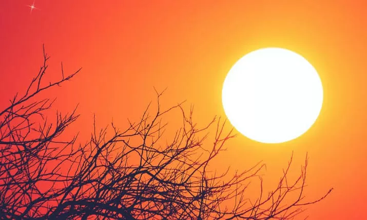 Ano de 2024 será o ano mais quente desde que há registos