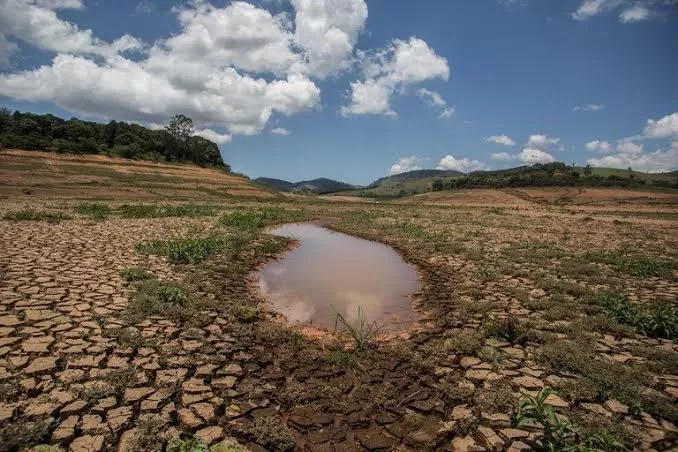 Estiagem (Foto: Reprodução)