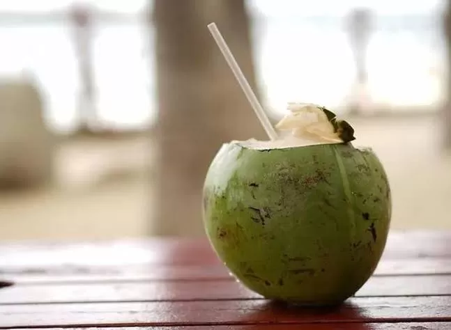 Na Paraíba, coco verde chega a custar R$ 9,00, aponta pesquisa