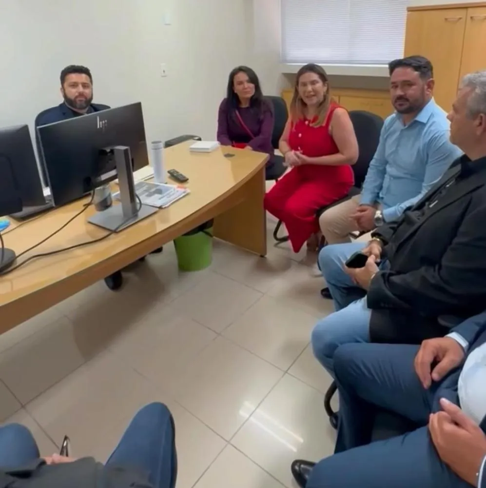 Prefeita de Cajazeiras, Corrinha Delfino, durante reunião no TCE (Foto: Divulgação)