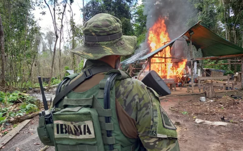 Concurso do Ibama com vagas na Paraíba tem inscrições abertas a partir de hoje; confira o edital