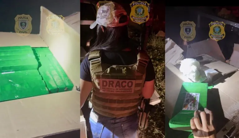 Polícia apreende grande carregamento de drogas em operação (Foto: Divulgação/Polícia Civil)