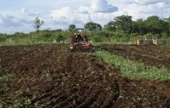 Prefeitura de Cajazeiras intensifica serviços (Foto: Divulgação)