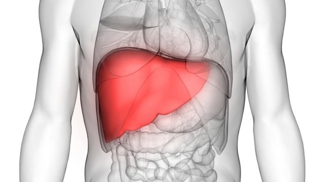 Surto de hepatite em crianças pode ser provocado por vírus comum