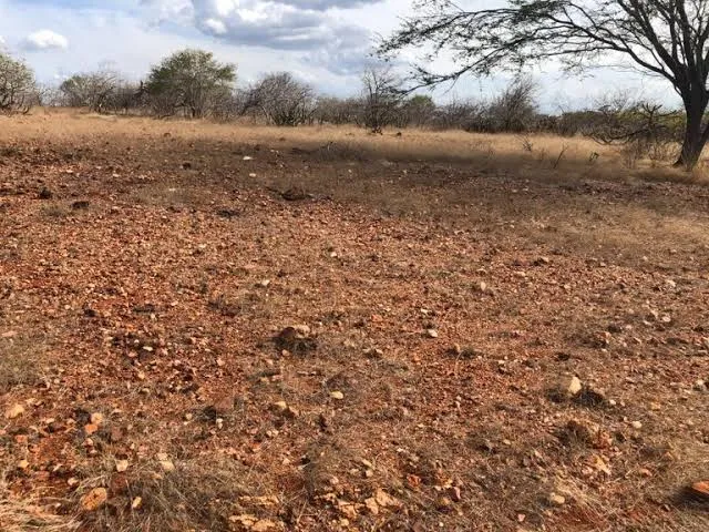 São João do Rio do Peixe e mais nove cidades paraibanas entram em situação de emergência por causa da seca; veja lista