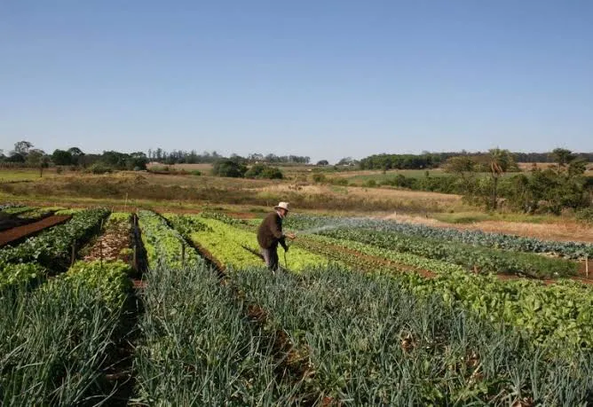 Empreender Rural: linha de crédito exclusiva para Engenhos de Cachaça na Paraíba tem inscrições prorrogadas até sexta-feira (29)