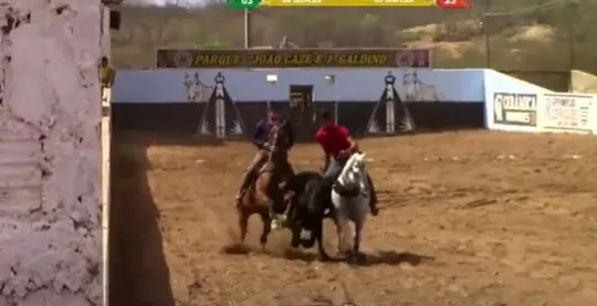 Cavalo morre após cair em vaquejada em Cajazeirinhas, no Sertão da Paraíba