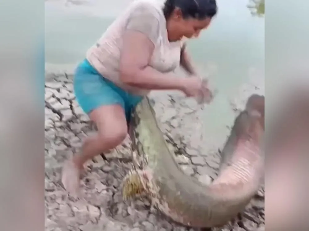 Pirarucu dá ‘golpe baixo’ em mulher no Sertão da Paraíba, e cena viraliza nas redes sociais