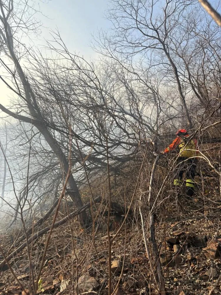 Incêndio na Serra do Cruzeiro, Sertão da Paraíba, segue pelo quinto dia e Corpo de Bombeiros continua ação de combate as chamas