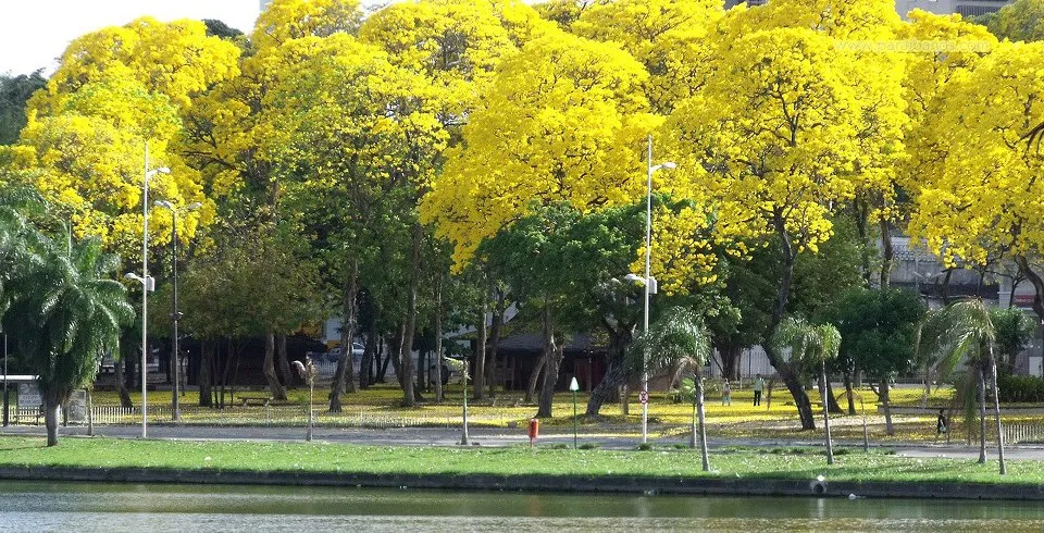 Na Paraíba, primavera traz aumento gradual das temperaturas, a partir desta segunda-feira (22)