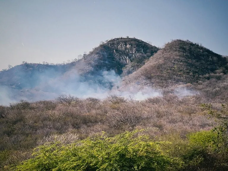 No Sertão, força-tarefa intensifica trabalho e controla incêndio na Serra do Cruzeiro
