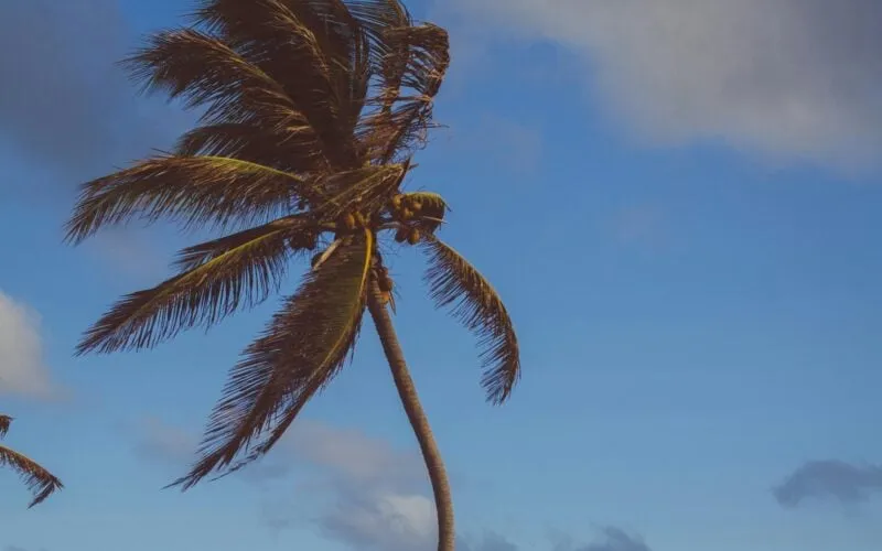 Alerta de vendaval atinge quase 200 municípios na Paraíba com ventos de até 60 km/h; incluindo alguns municípios do Alto Sertão